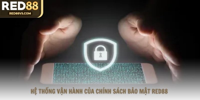Hệ thống vận hành của chính sách bảo mật Red88 